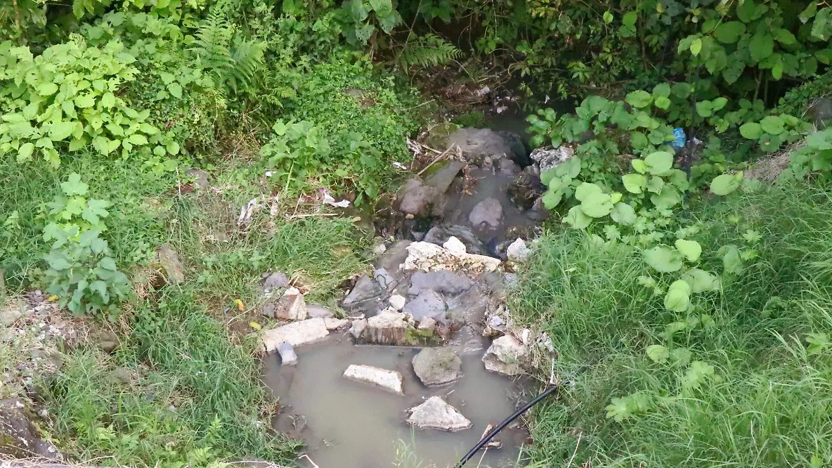 david- Manantiales en Xalapa