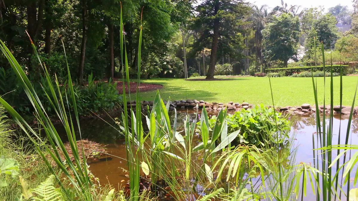 Jardín Botánico.