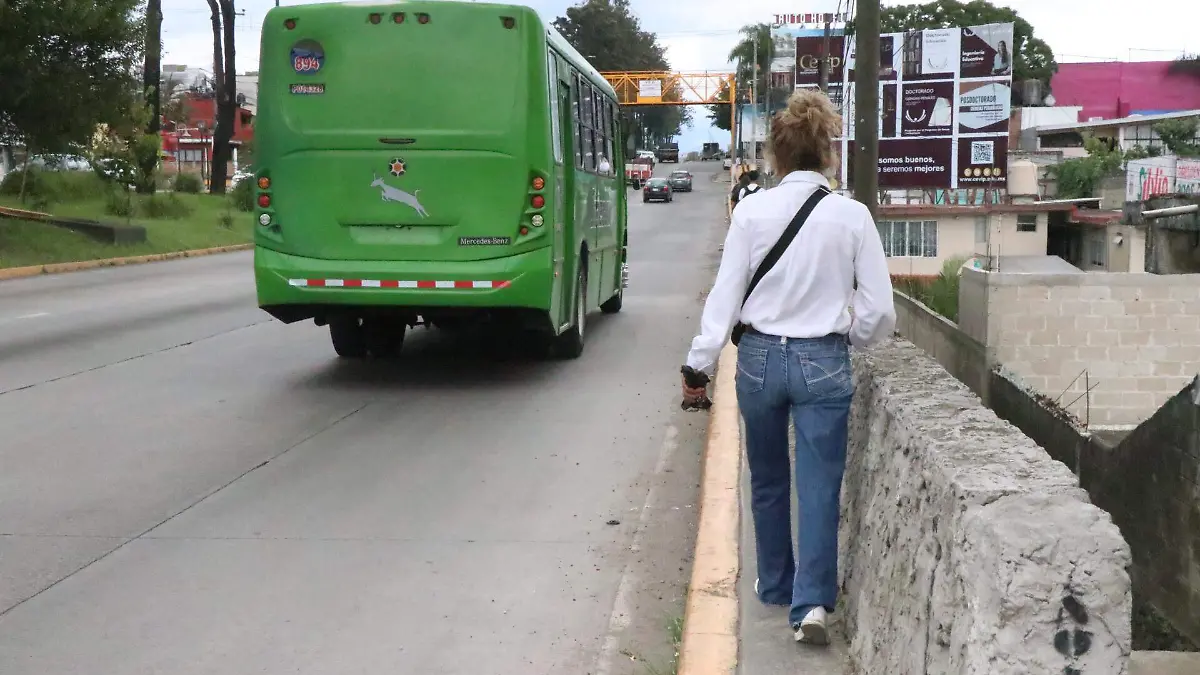 Movilidad | Puente peatonal | Tráfico