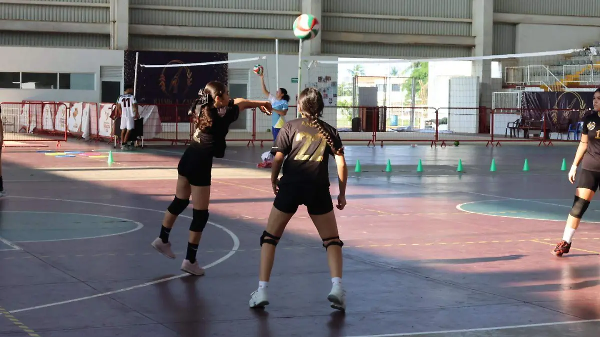Voleibol