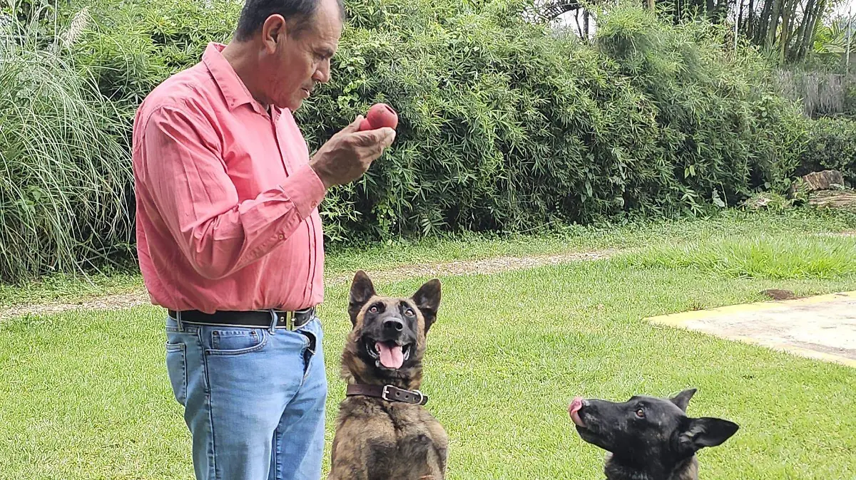 Escuela de Adiestramiento Canino “Nocralan”