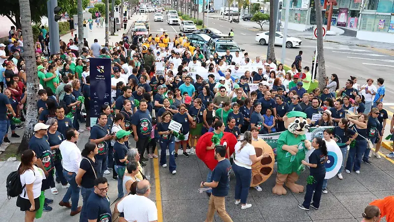 Caminata por la donación de organos