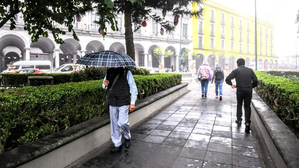 RENE-FRIO