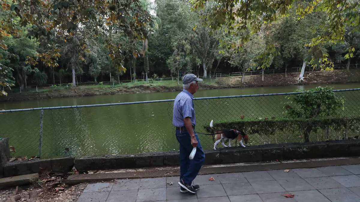 adultos mayores (2)