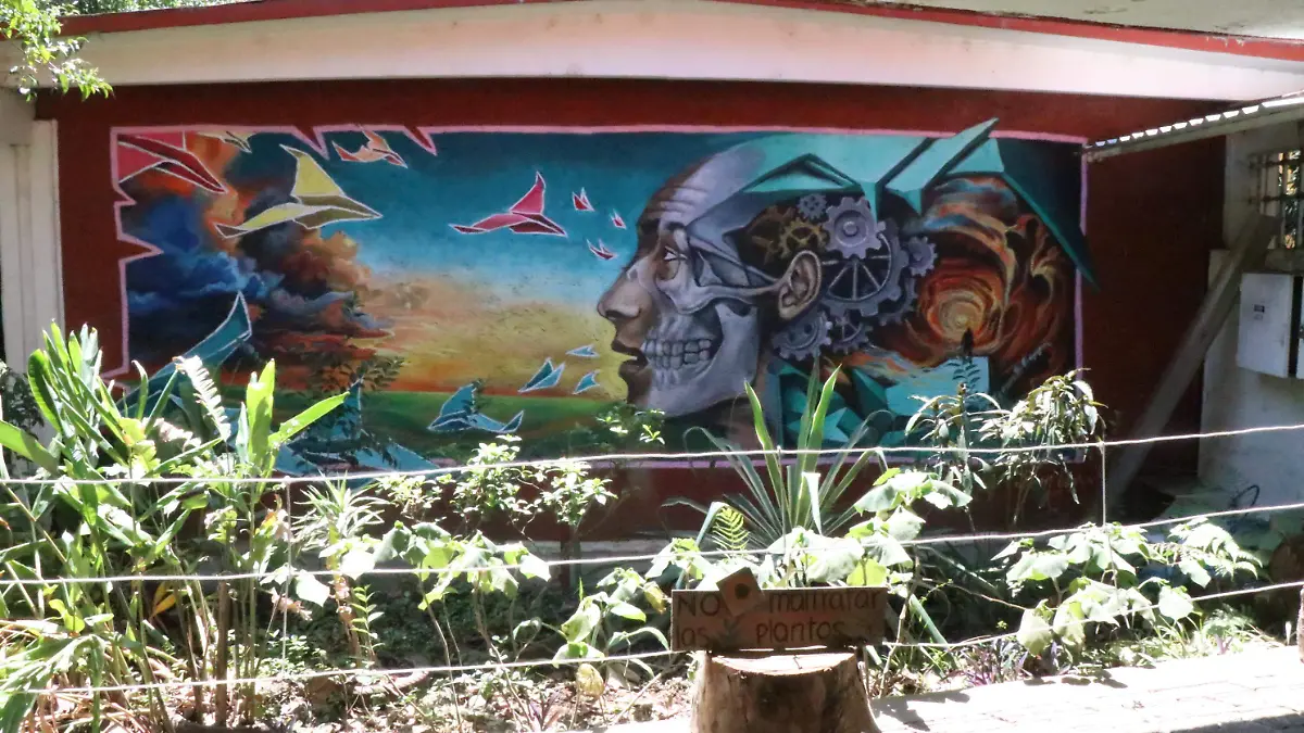 Centro de Integración Juvenil