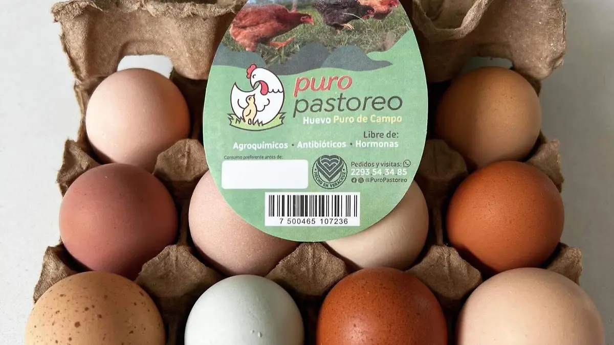 Huevo de libre pastoreo