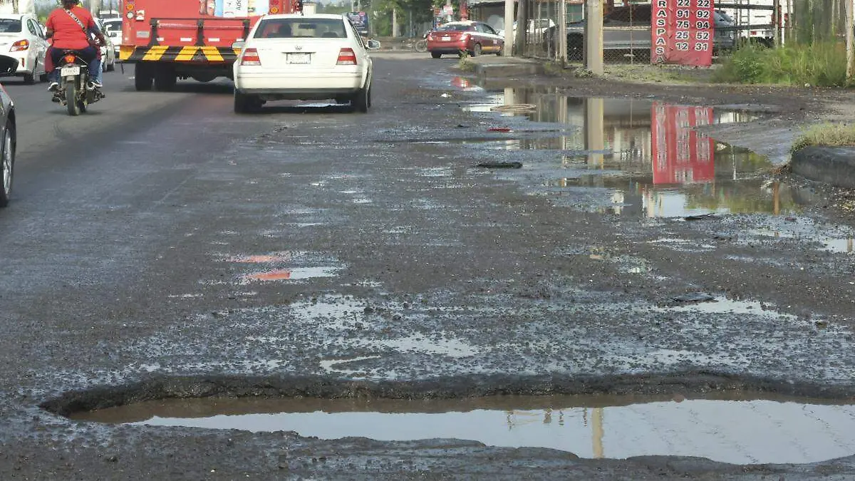bache