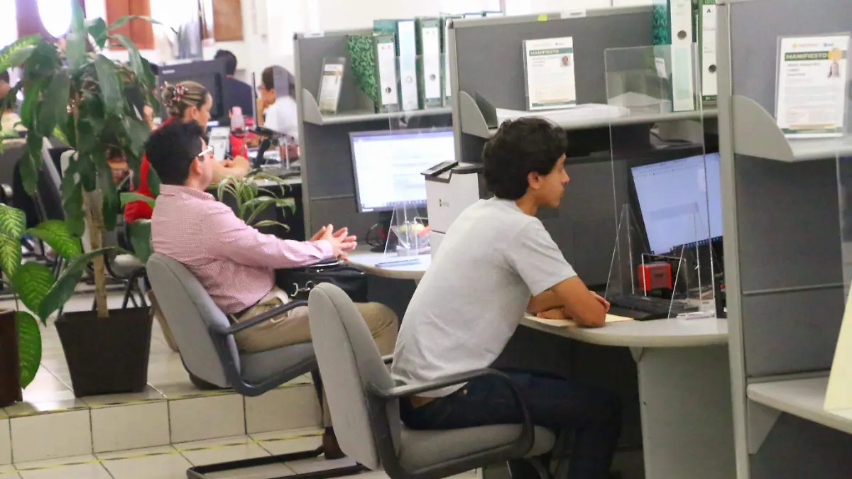 david- Financiamiento