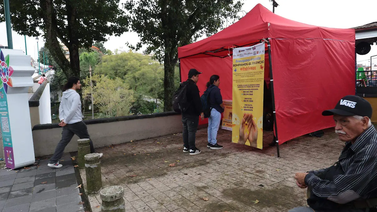 modulo xallitic (27)