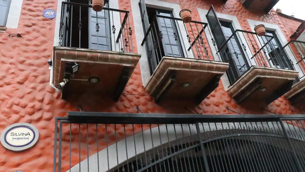 david- Galería Silvina