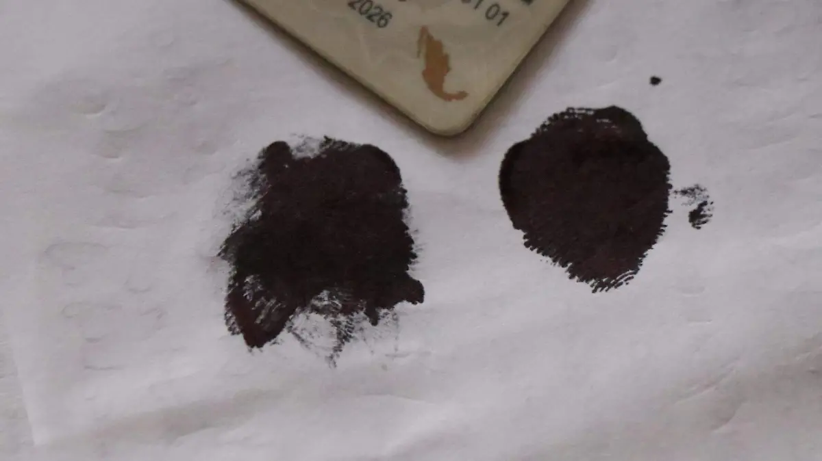 david- Violencia Política