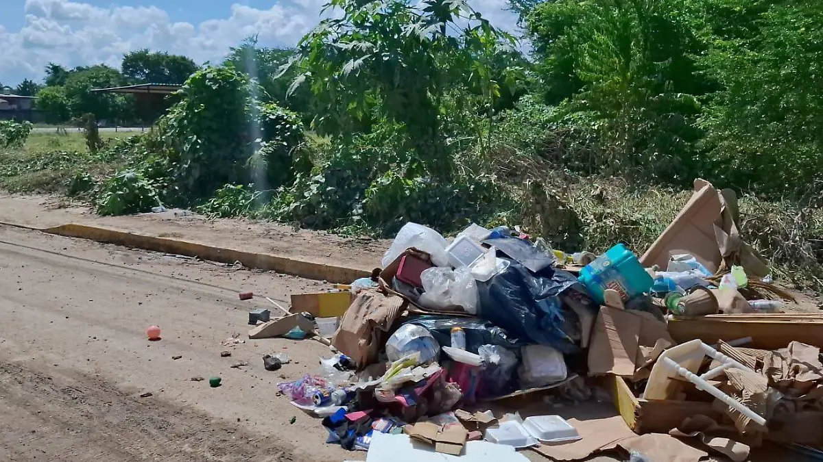 Afectaciones en Álamo