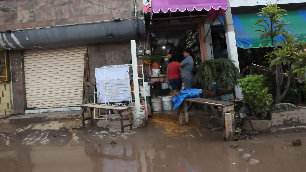 negocios Poza Rica (3)