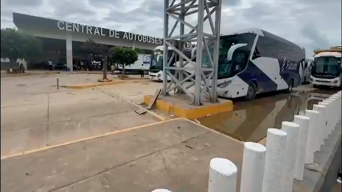 autobuses