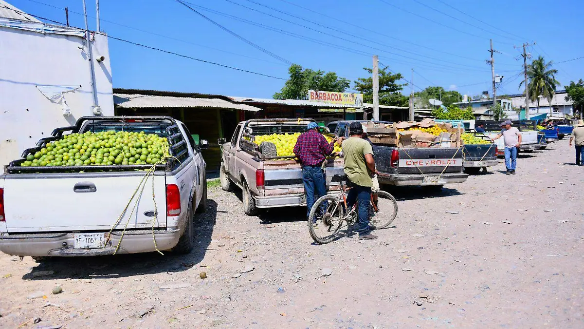 Naranjas Álamo Inundaciones