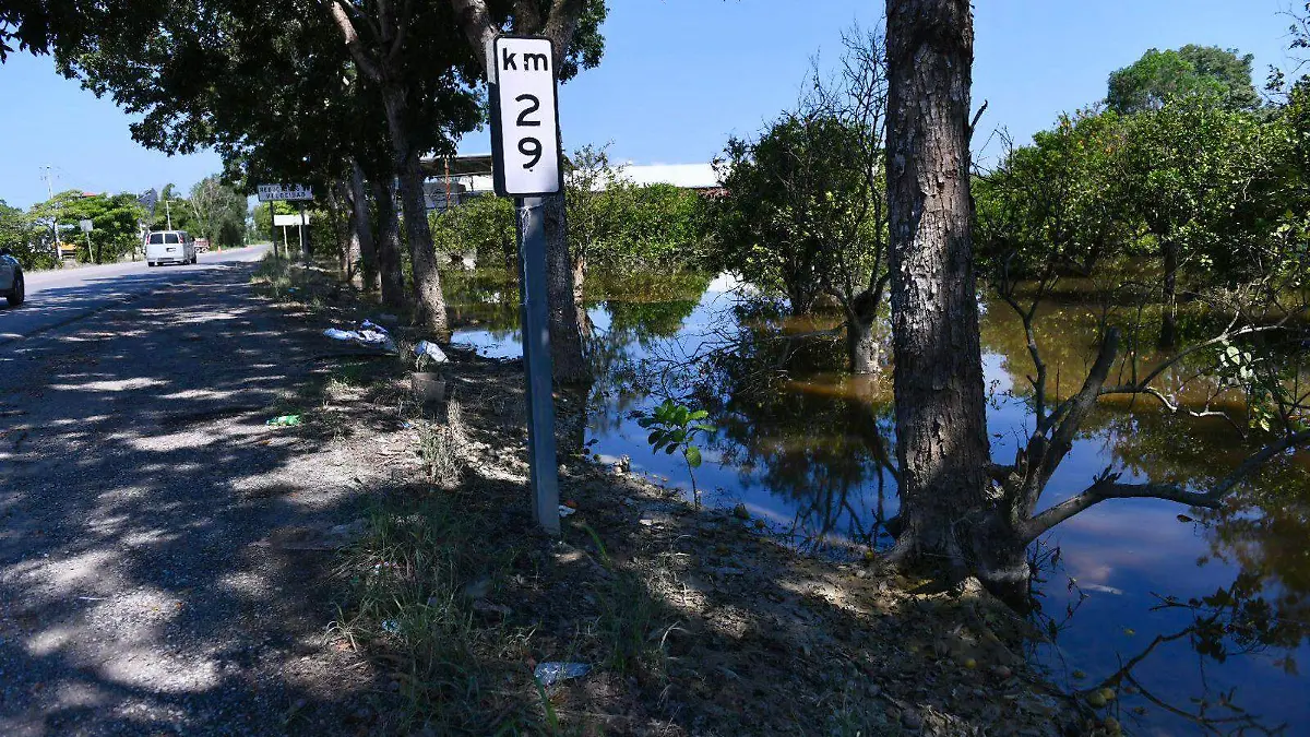 Naranjas Álamo Inundaciones