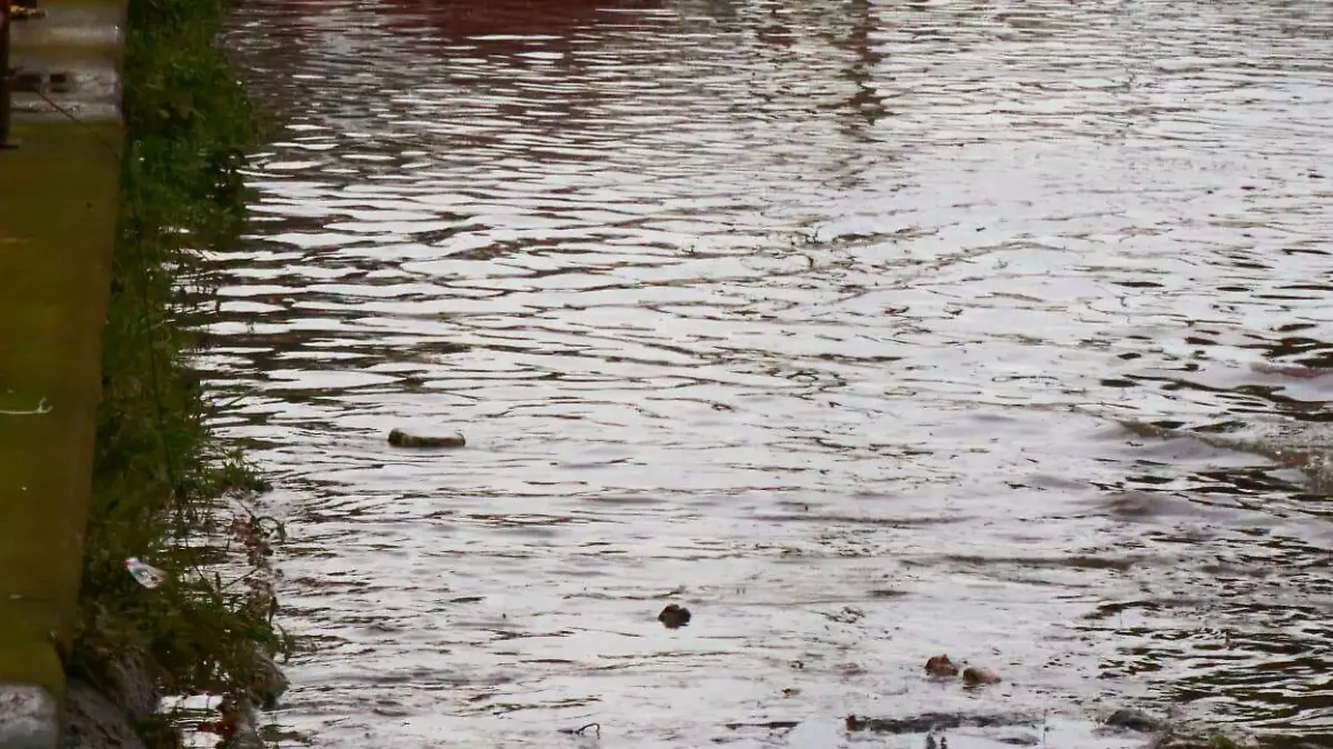 Lluvias inundan colonias en Xalapa