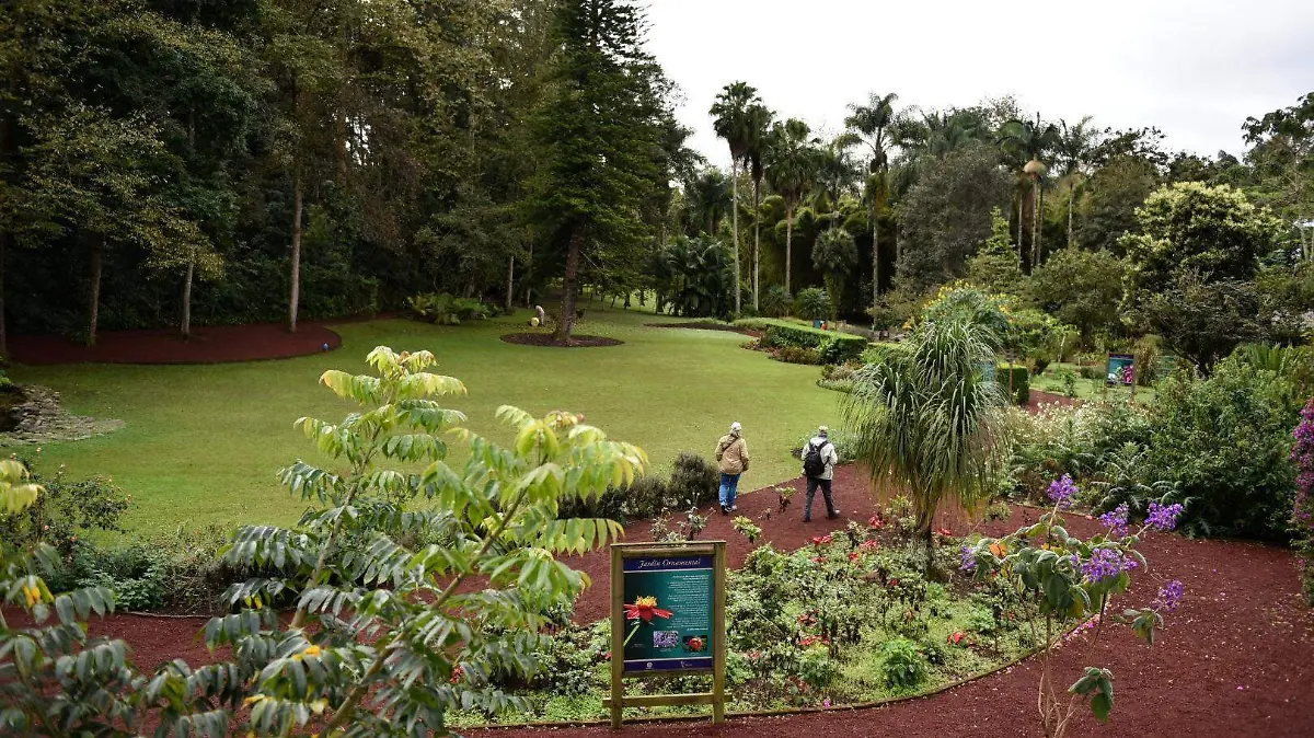 RENE-JARDIN BOTANICO