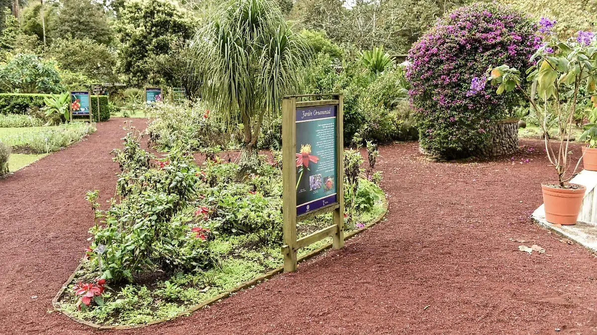 Jardin
