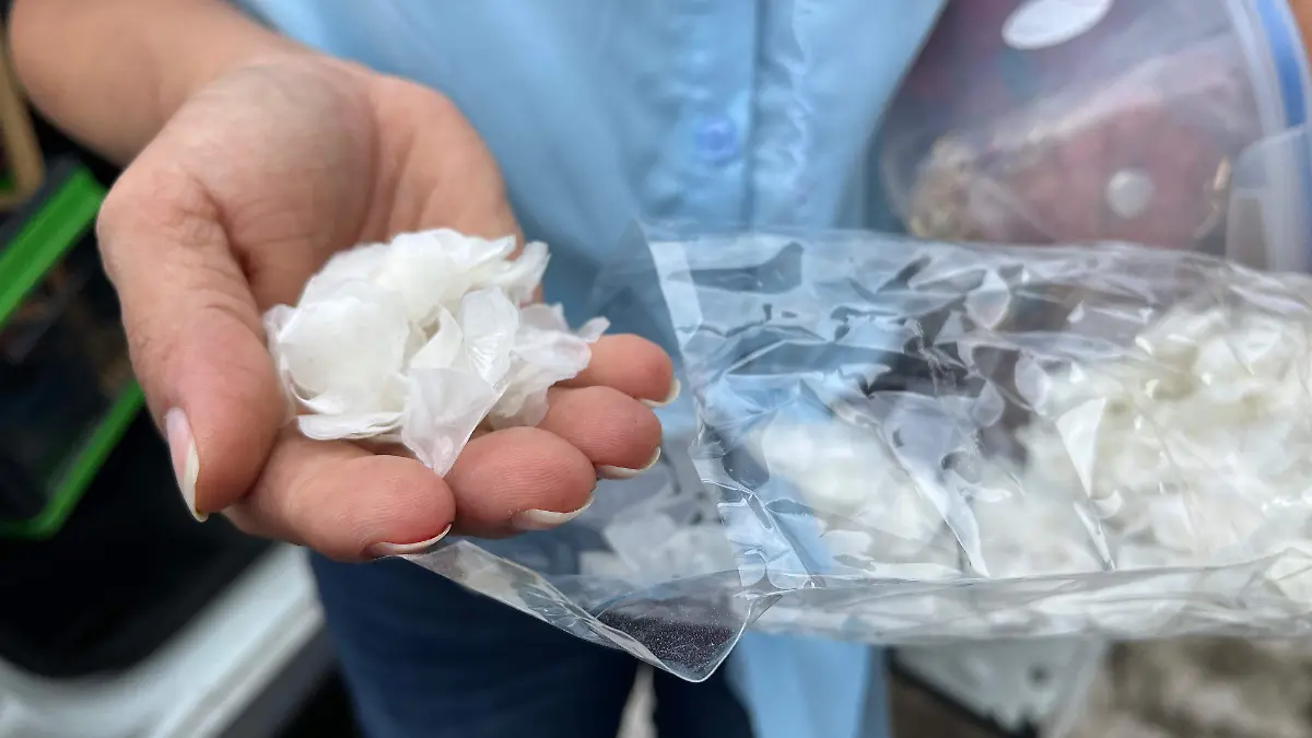 Hania Gamboa, joven emprendedora hace bisutería y manualiades con escamas de pescado