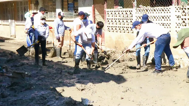 david - Trabajadores Agotados