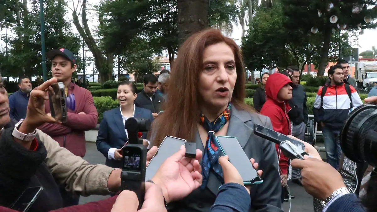 Virginia Moreno Villalvazo