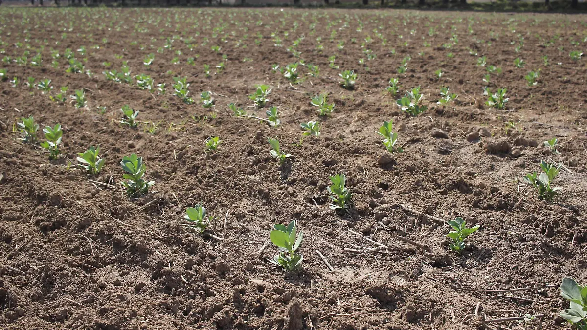 Del campo a las carreteras