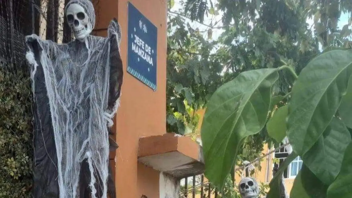 Fraccionamiento Laguna Real