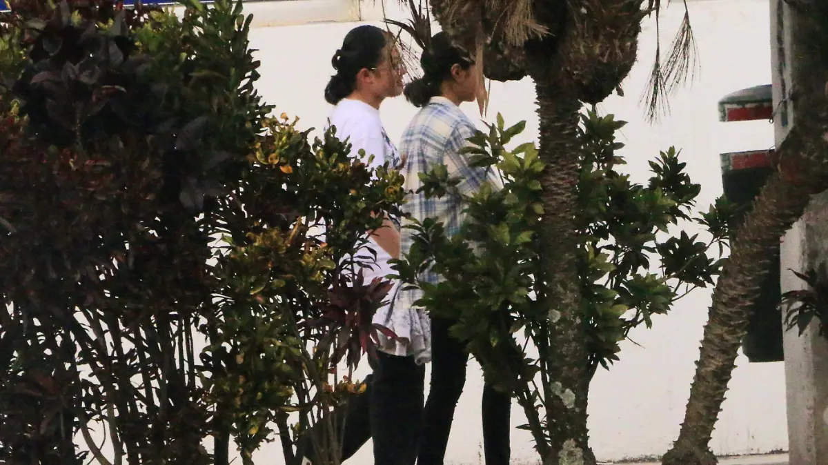 Acoso | Violencia contra las mujeres