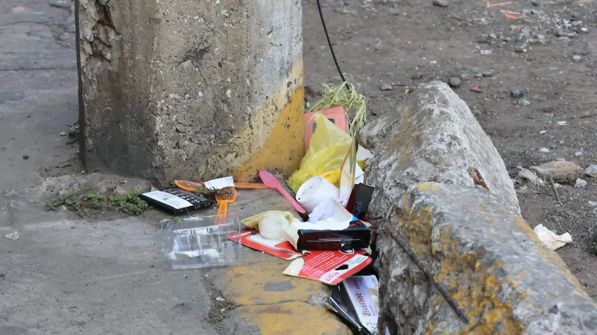 Botes para separar basura fueron colocados en la avenida Hidalgo del centro de Veracruz 