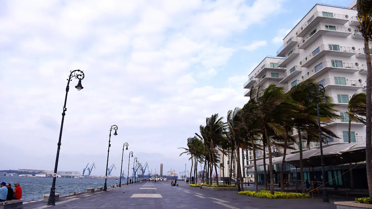 Frente Frío 13 provocará heladas y tormentas en zonas de montaña en Veracruz advierte la SPC 