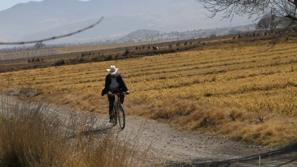 Recursos federales en Veracruz