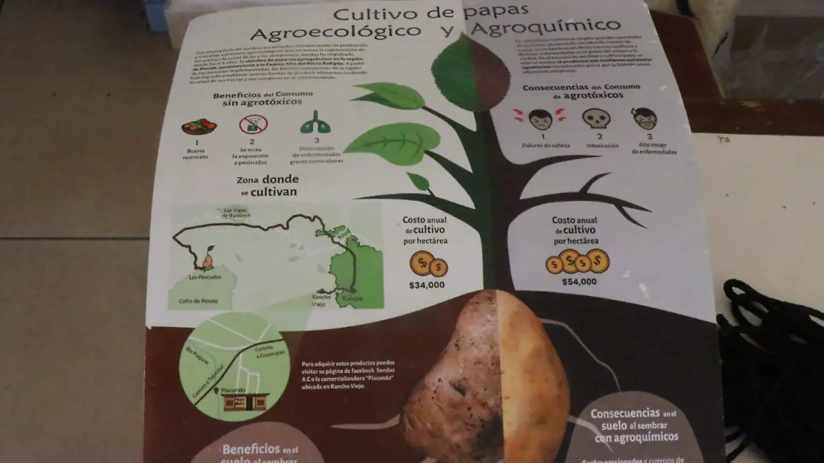 Foro sobre el cultivo de papa