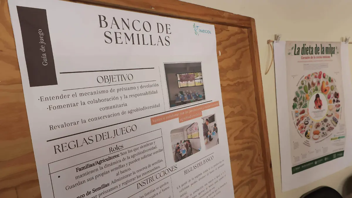 Primer Banco Escolar de Semillas de Veracruz