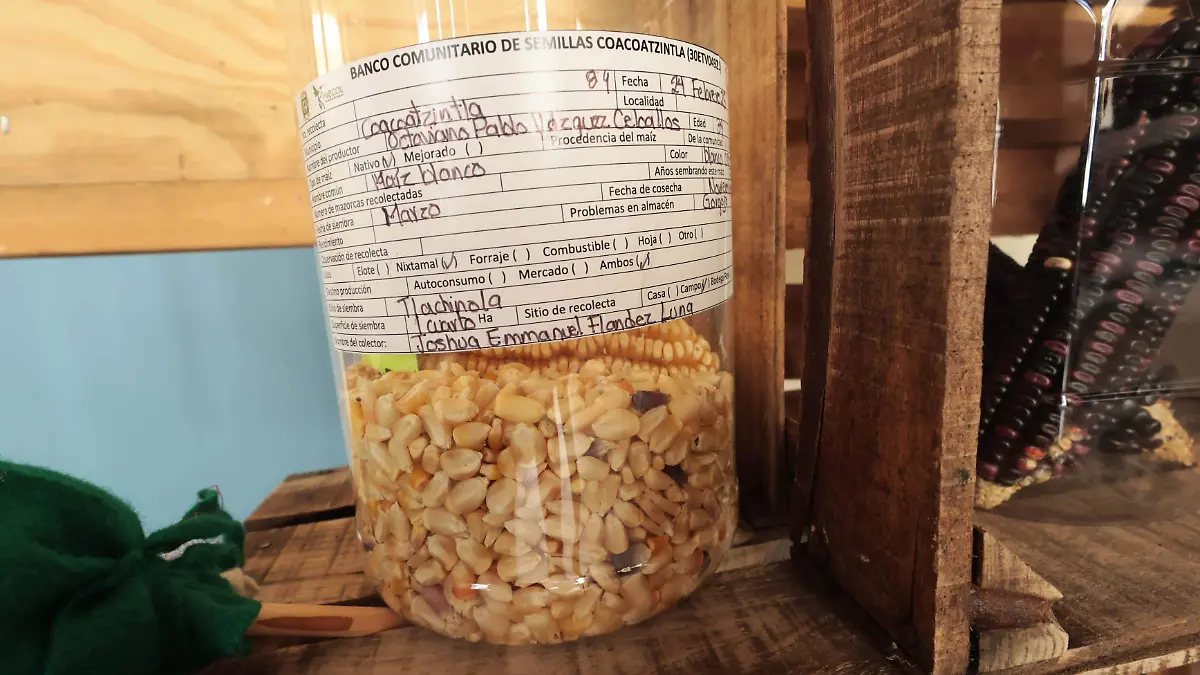 Primer Banco Escolar de Semillas de Veracruz