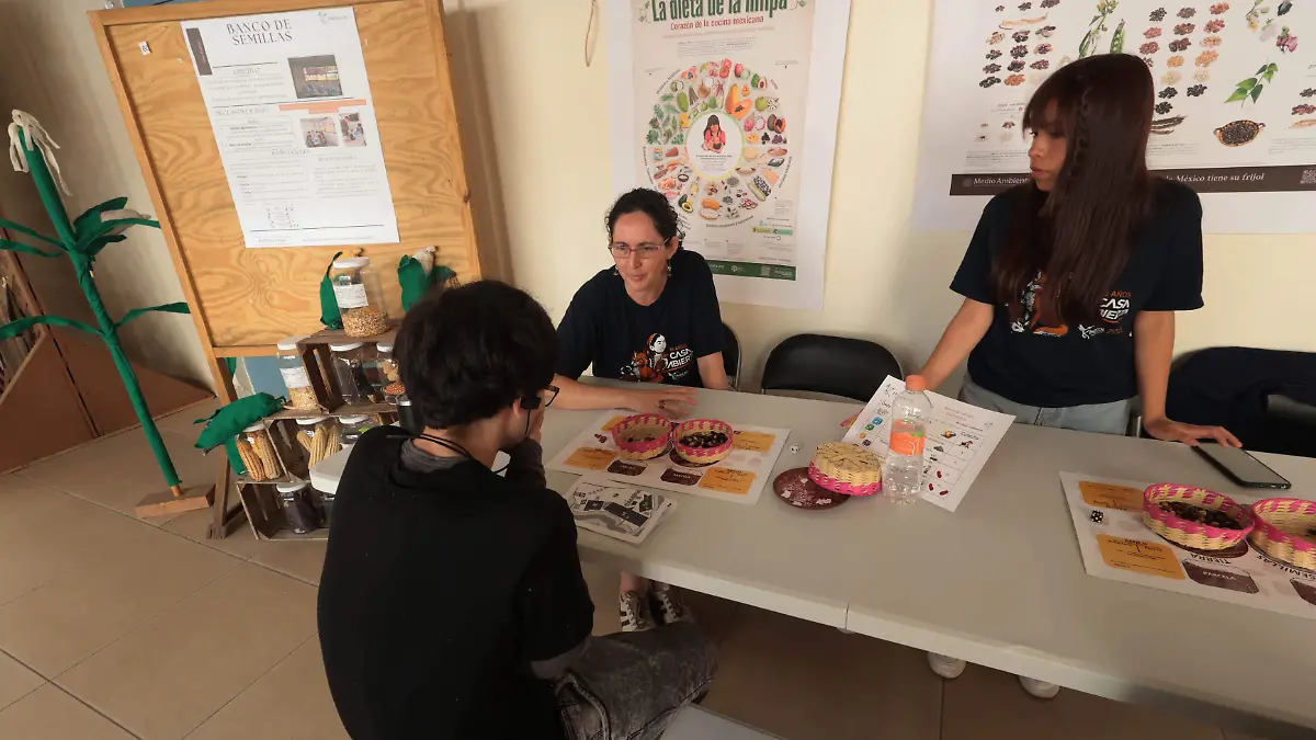 Primer Banco Escolar de Semillas de Veracruz