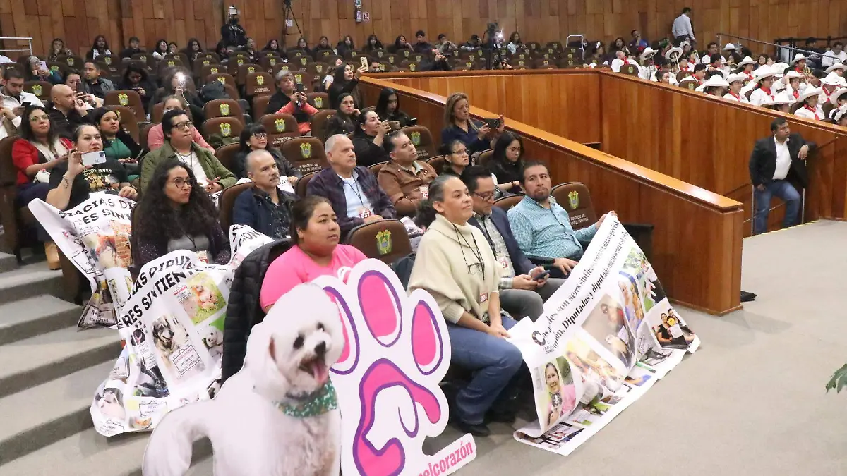 Congreso reconoce a los animales como seres sintientes