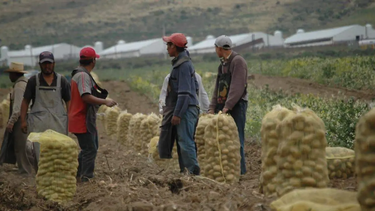 WhatsApp Image 2025-11-13 at 4.25.37 PM