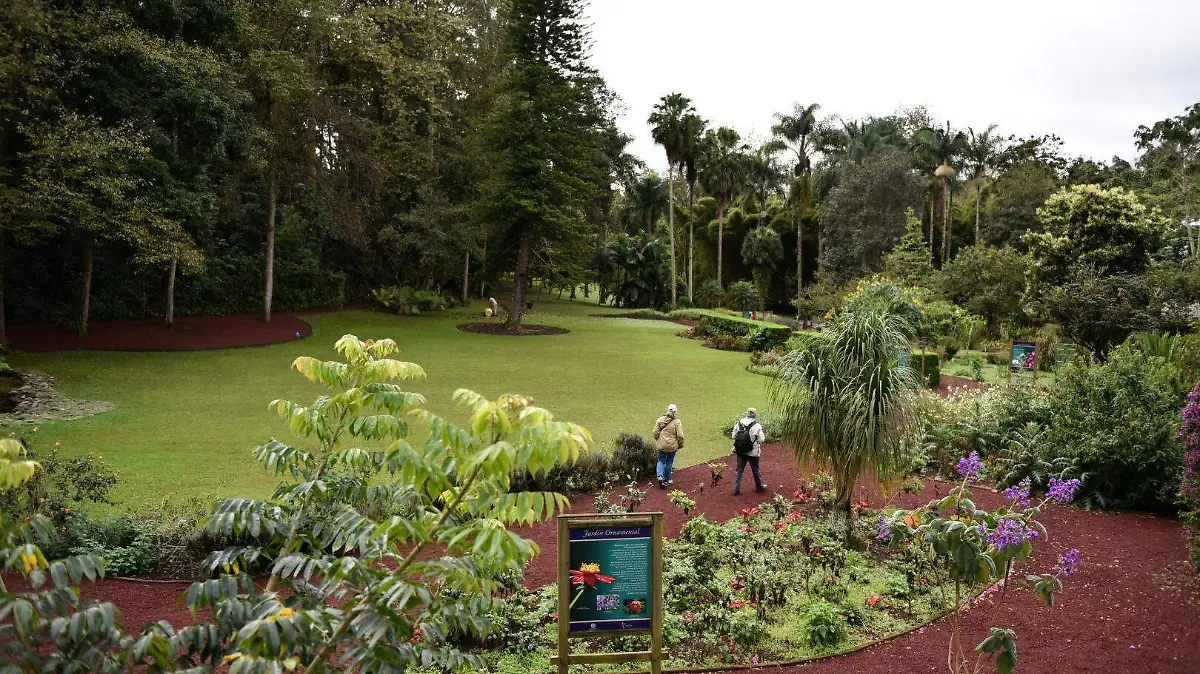 RENE-JARDIN BOTANICO