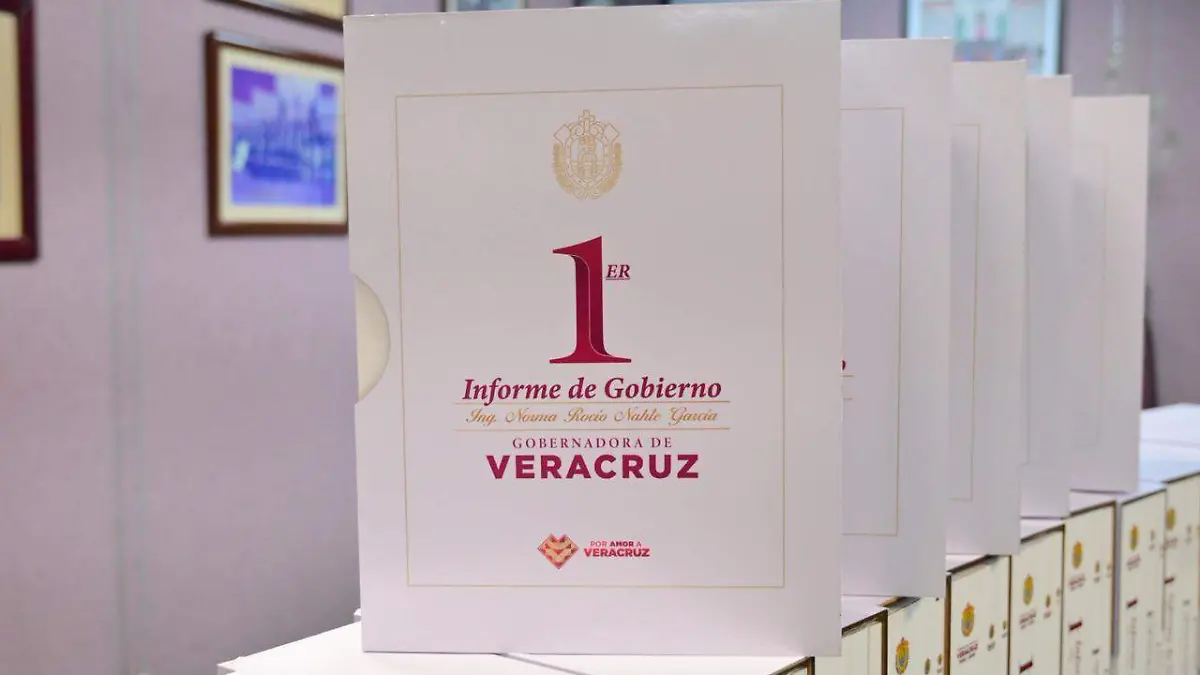 NOV15DENOV2025INFORME.7