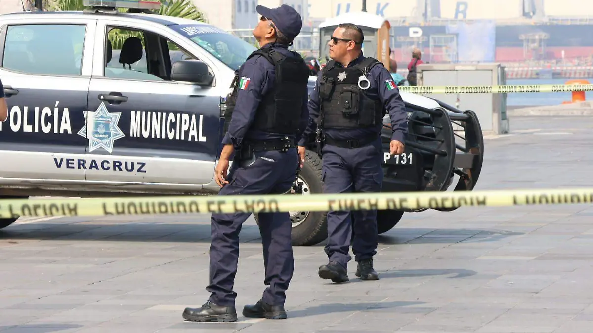 WhatsApp Image 2025-11-18 at 12.20.11