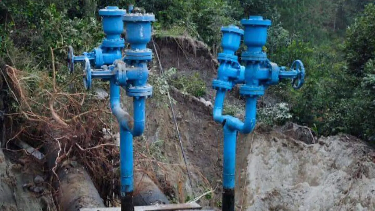 WhatsApp Image 2025-11-19 at 13.46.11