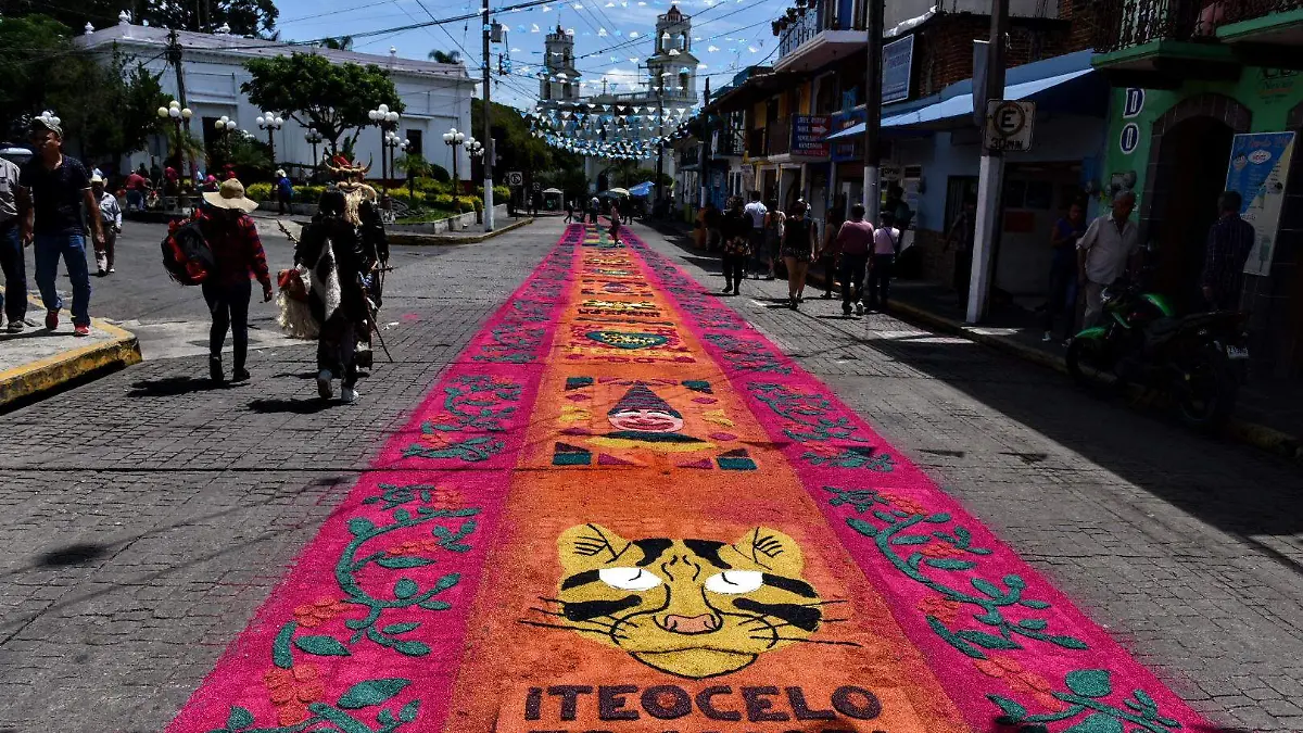 RENE- tapetes-TEOCELO