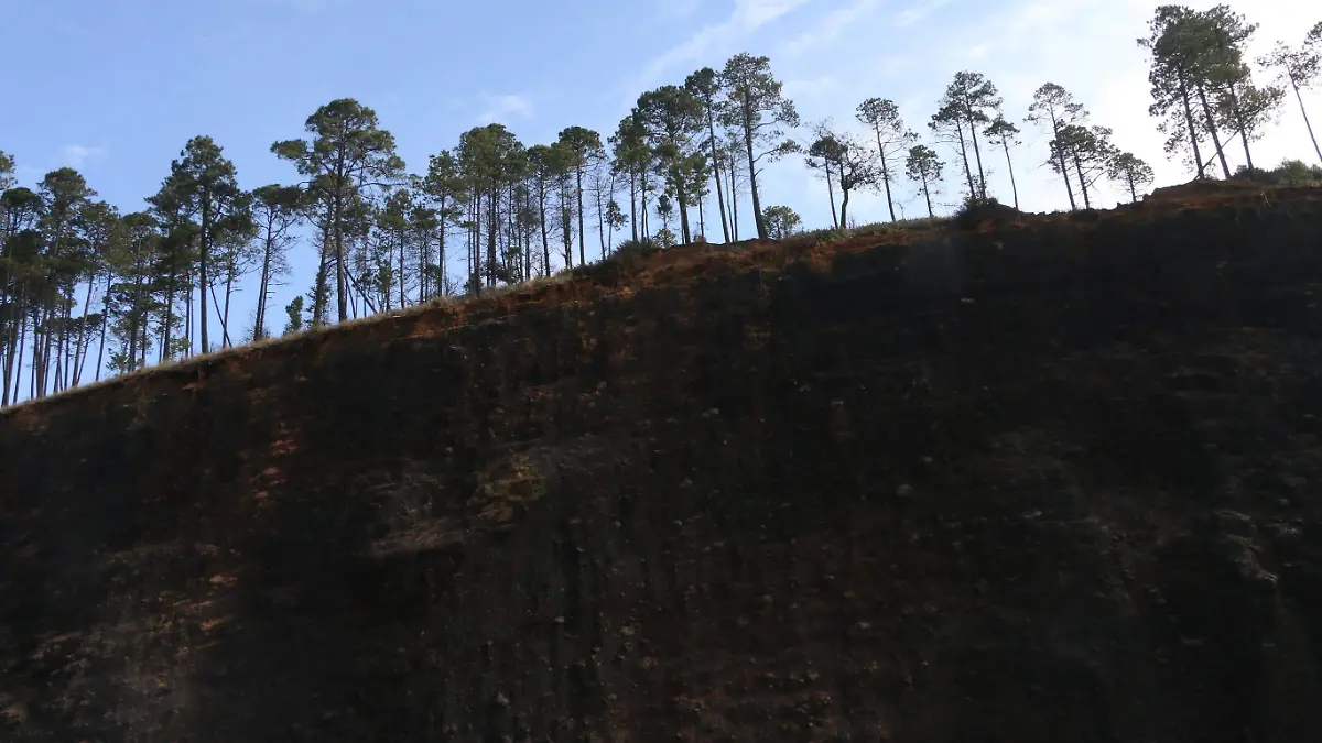 Parque Nacional Cofre de Perote