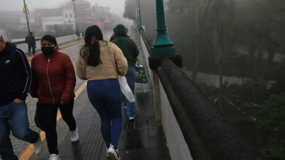 frio neblina  (37)