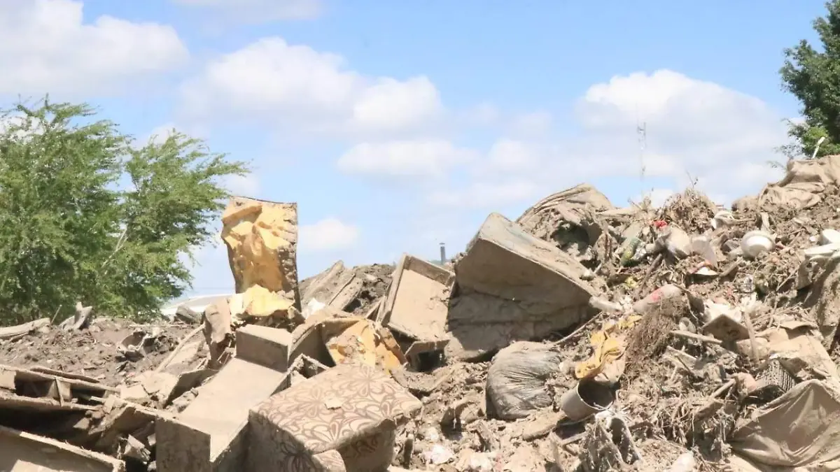 Álamo entre la basura y malos olores
