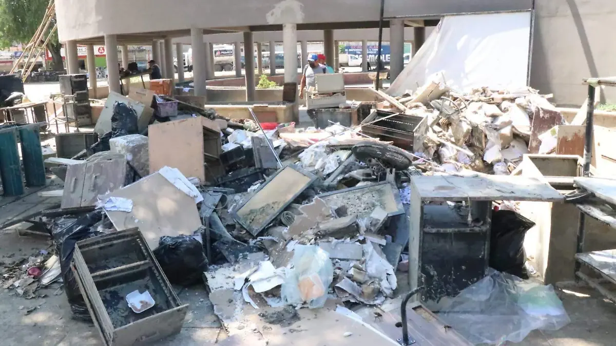 3 Álamo entre la basura y malos olores