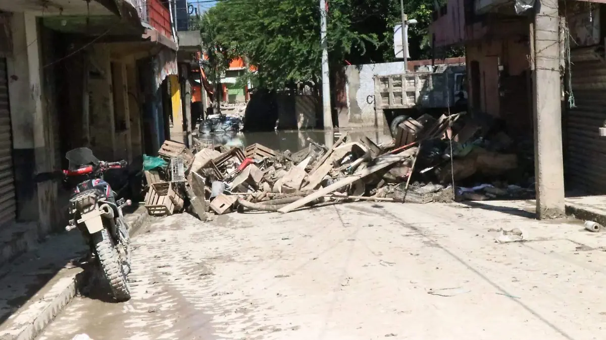 4 Álamo entre la basura y malos olores