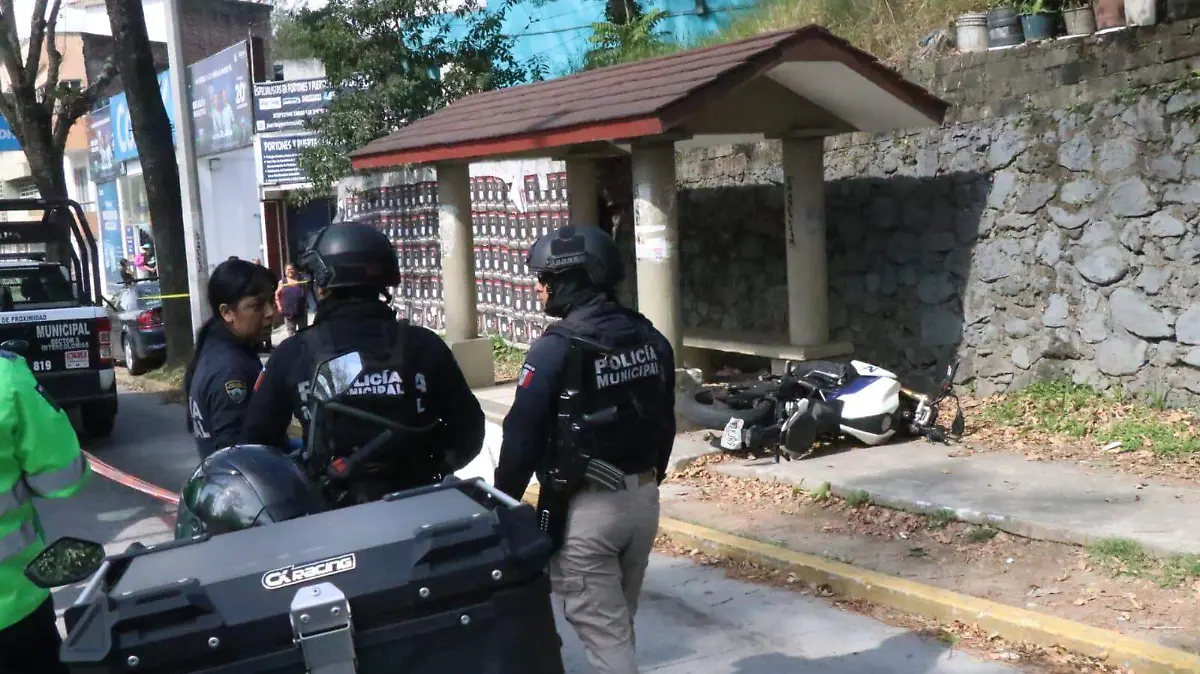 WhatsApp Image 2025-11-26 at 11.34.19 (2)