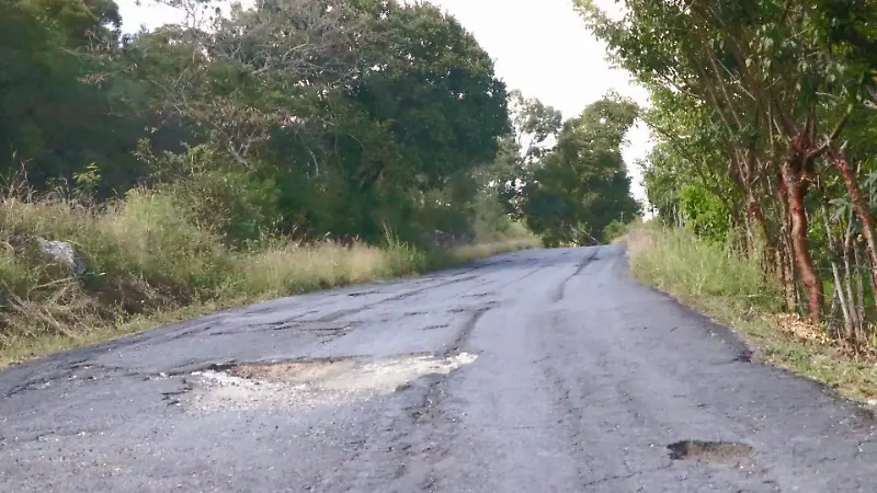Carretera Palmar Estación-Palmarejo en malas condiciones
